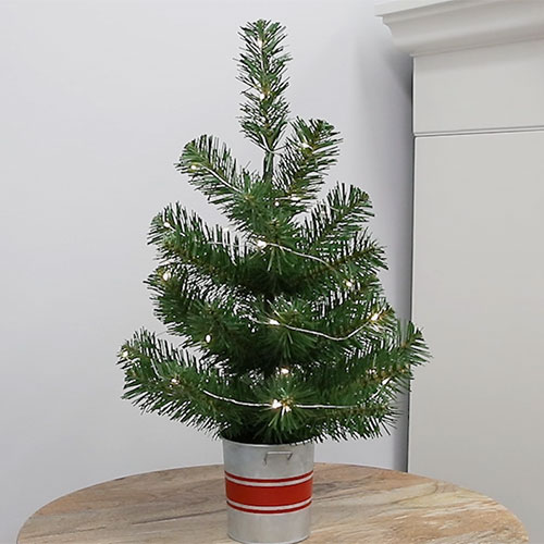 Enchanted Forest® 30-Light Warm White LED Battery-Operated Christmas Fairy Light Set