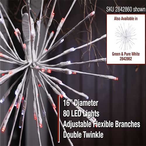 Enchanted Forest® LED 16" Red & Pure White Double Twinkle Star Burst Christmas Light