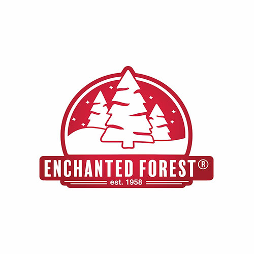 Enchanted Forest® LED Vintage 25-Light Multicolor C9 Christmas String Light Set