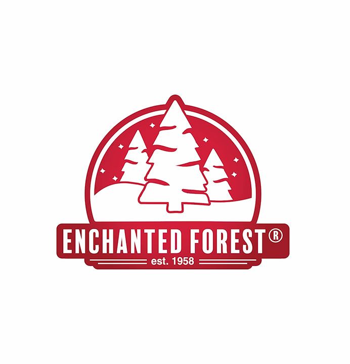 Enchanted Forest® 24" Snowy Berry Artificial Wreath