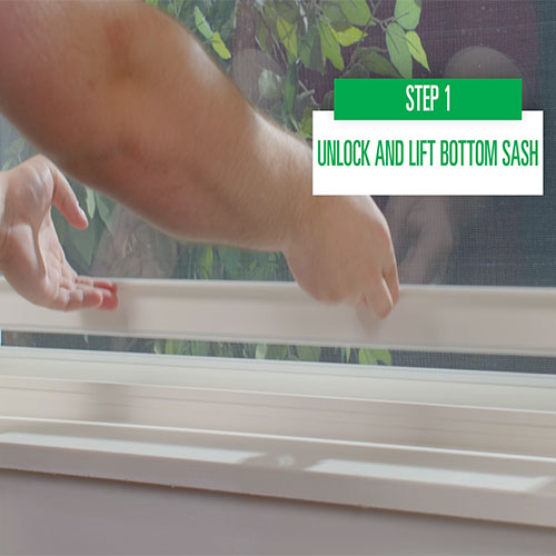 Performax™ 24"W x 36"H Black Vinyl Double-Hung Window with Nailing Flange