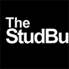 Stud Buddy® Magnetic Stud Finder